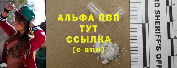 прущие грибы Абаза