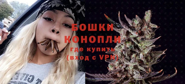 гидропоника Новозыбков