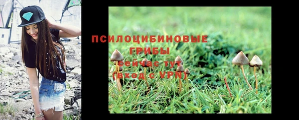 хмурый Новодвинск