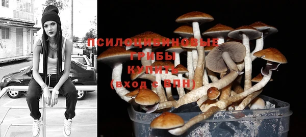 хмурый Новодвинск