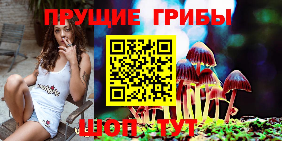 Псилоцибиновые грибы Cubensis Саратов