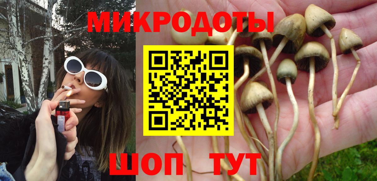 Саратов  Галлюциногенные грибы Psilocybine cubensis  хочу наркоту  Псилоцибиновые грибы Cubensis  Вход с VPN 