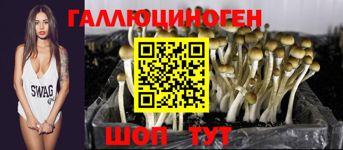 Псилоцибиновые грибы мицелий Саратов
